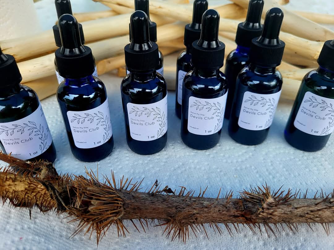 Devil's Club infused Oil
